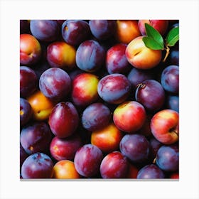 Plums Canvas Print