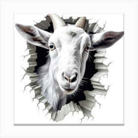 Goat Peeking Through A Hole 1 Canvas Print