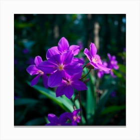 Purple Flowers In The Forest Canvas Print