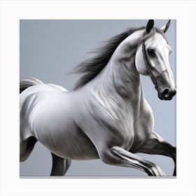 White Horse Running 1 Canvas Print