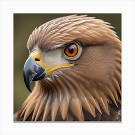 National Geographic Realistic Illustration Aigle D Or T Te En Gros Plan Portrait D Un Oiseau De Proie Gros Plan 2 Canvas Print