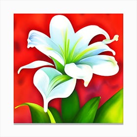 White Lilly 8 Canvas Print