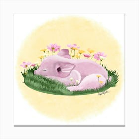 Cochon/pig Canvas Print
