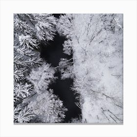 Black River Through The Snowy Winter Forest Square Canvas Print