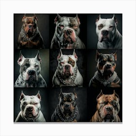 Nine dogs Canvas Print