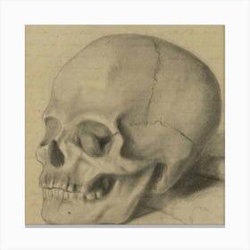 Skull Of A Human Canvas Print