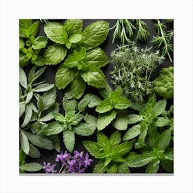 Top View Of Herbs On A Black Background 3 Canvas Print