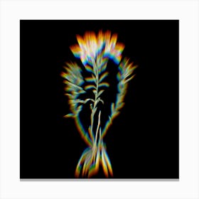 Prism Shift Lily of the Incas Botanical Illustration on Black n.0357 Canvas Print