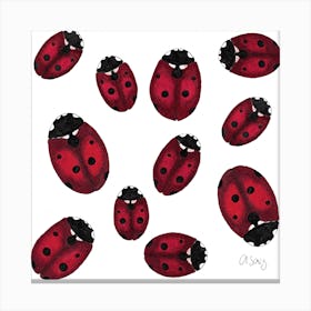 Ladybugs 2 Canvas Print