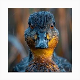 Duck In The Rain 2 Canvas Print