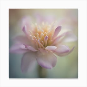 A Close Up Of A Delicategentle Petals Bud Just Beginning To Bloom, With Soft Petals And Hints Of Vib (1) Canvas Print