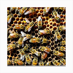 Bees On A Honeycomb 7 Canvas Print