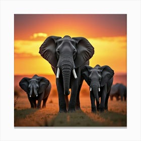 Family Of Elephants At Sunset 1 Toile