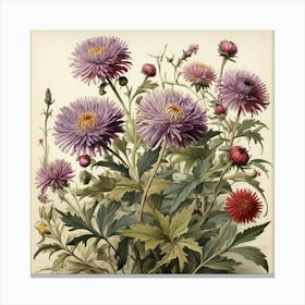 Asters Wildflower Vintage Botanical Art Print 1 Canvas Print