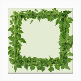 Frame Of Green Leaves 1 Canvas Print