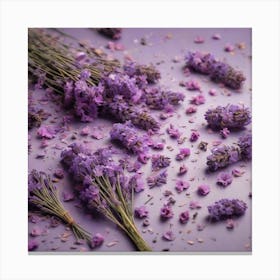 Lavender flowers 4 Canvas Print