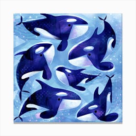 Orca Whales Canvas Print