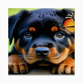 Butterfly And Rottweiler Stampe su tela