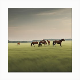 Horses In A Field Canvas Print