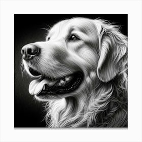 Golden Retriever Portrait in charcoal drawing 1 Canvas Print