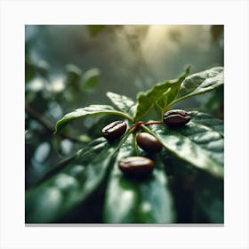 Coffee Beans On A Leaf Canvas Print