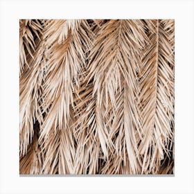 Palm Fronds Square Canvas Print