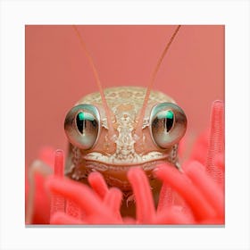 Grasshopper 1 Canvas Print