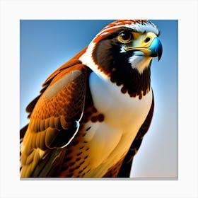 A falcon with beautiful colors Canvas Print