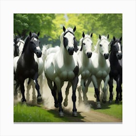 Horses In The Field 1 Canvas Print