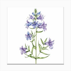 Bluebells 3 Canvas Print