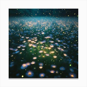 Fireflies In The Night Canvas Print