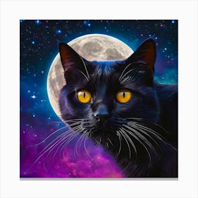 Black Cat In The Moonlight Canvas Print