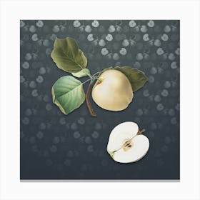 Vintage Astracan Apple Botanical on Slate Gray Pattern n.1985 Canvas Print