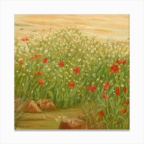 Daisies And Poppies Square Canvas Print