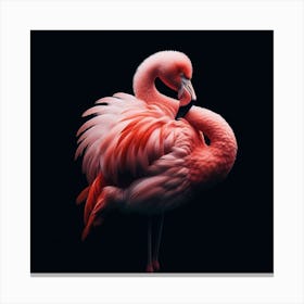 A flamingo 1 Canvas Print