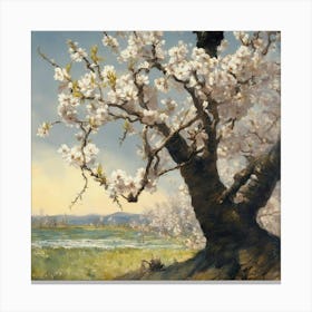 Blossoming Cherry Tree Canvas Print