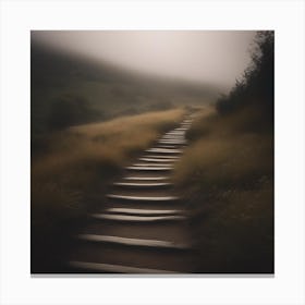 Path 04 Canvas Print