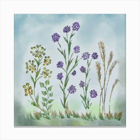 Flowers Plants Meadow Art Draw Flora Nature Canvas Print