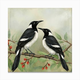 Magpies On A Branch Canvas Print