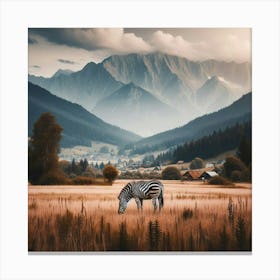 Zebra In The Field Canvas Print