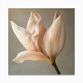 Lily Of The Valley 2 Canvas Print