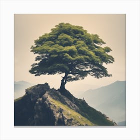 Lone Tree On Top Of Mountain 9 Canvas Print