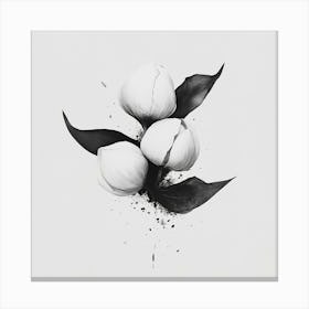 Cotton Flowers Canvas Print