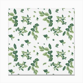 Mint Summer Canvas Print