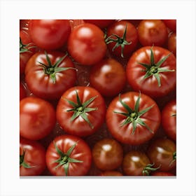 Red Tomatoes 5 Canvas Print