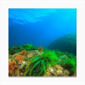 Aegean Sea Canvas Print