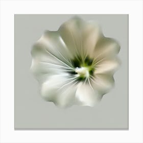 White Flower 9 Canvas Print