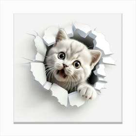 British Shorthair Kitten Canvas Print