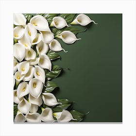 White Calla Lilies On Green Background 3 Canvas Print