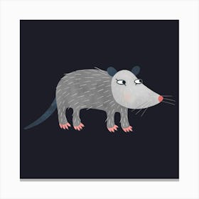 Opossum or Possum in the Dark Canvas Print